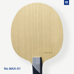 MAX-01