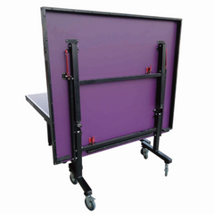 Pro 25 Professional Table Tennis Table