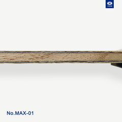 MAX-01