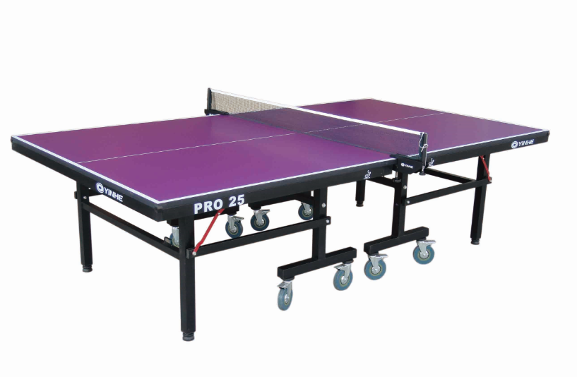 Pro 25 Professional Table Tennis Table