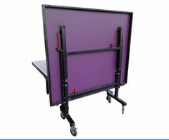 Pro 25 Professional Table Tennis Table